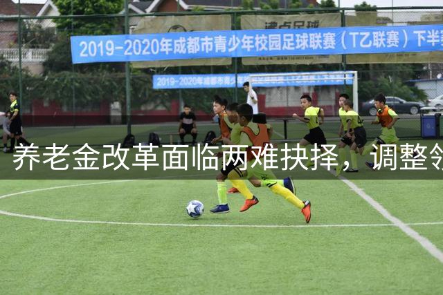 养老金改革面临两难抉择，调整领取年龄是解药吗？