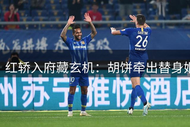 红轿入府藏玄机：胡饼牵出替身姻缘背后的算计